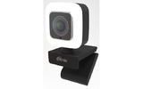 Вебкамера Ritmix RVC-220
