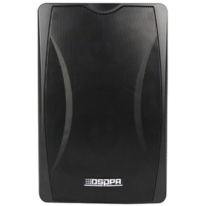 Колонка настенная DSPPA DSP-6608R