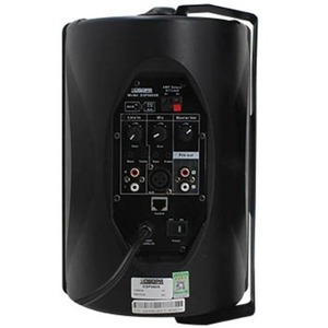 Колонка настенная DSPPA DSP-6608R