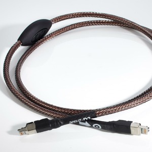 ETHERNET кабель Ansuz Acoustics Digitalz D2 (Ethernet) 2.0m