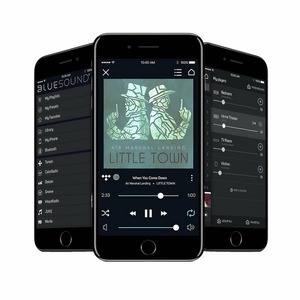 Портативная акустика Bluesound Pulse FLEX 2i Black