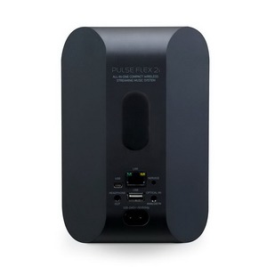 Портативная акустика Bluesound Pulse FLEX 2i Black