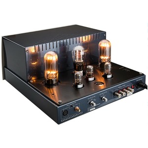 Усилитель мощности Cayin M-845D