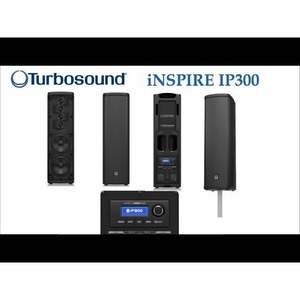 Колонка концертная Turbosound iNSPIRE iP300 