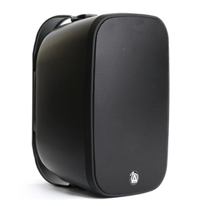 Колонка настенная AuraSonics DENSE-5T