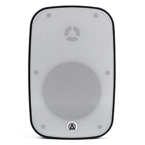 Колонка настенная AuraSonics DENSE-5T-WH