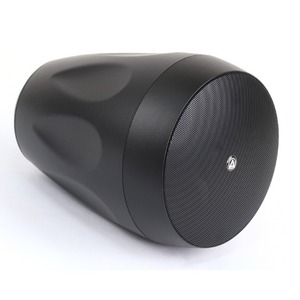 Колонка подвесная AuraSonics FLORET-5T