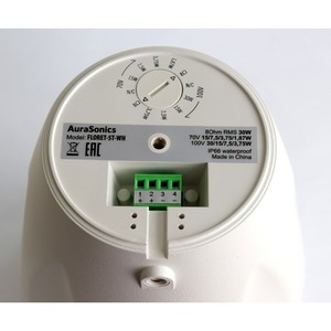 Колонка подвесная AuraSonics FLORET-5T-WH