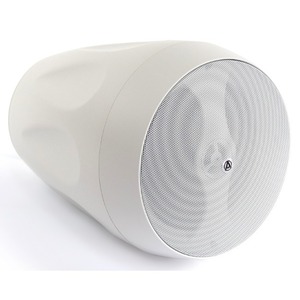 Колонка подвесная AuraSonics FLORET-6T-WH