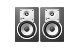Студийный монитор Fluid Audio C5BT