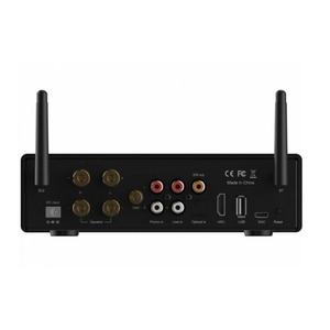 Усилитель интегральный Arylic B50