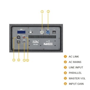Колонка концертная Soundking G210A