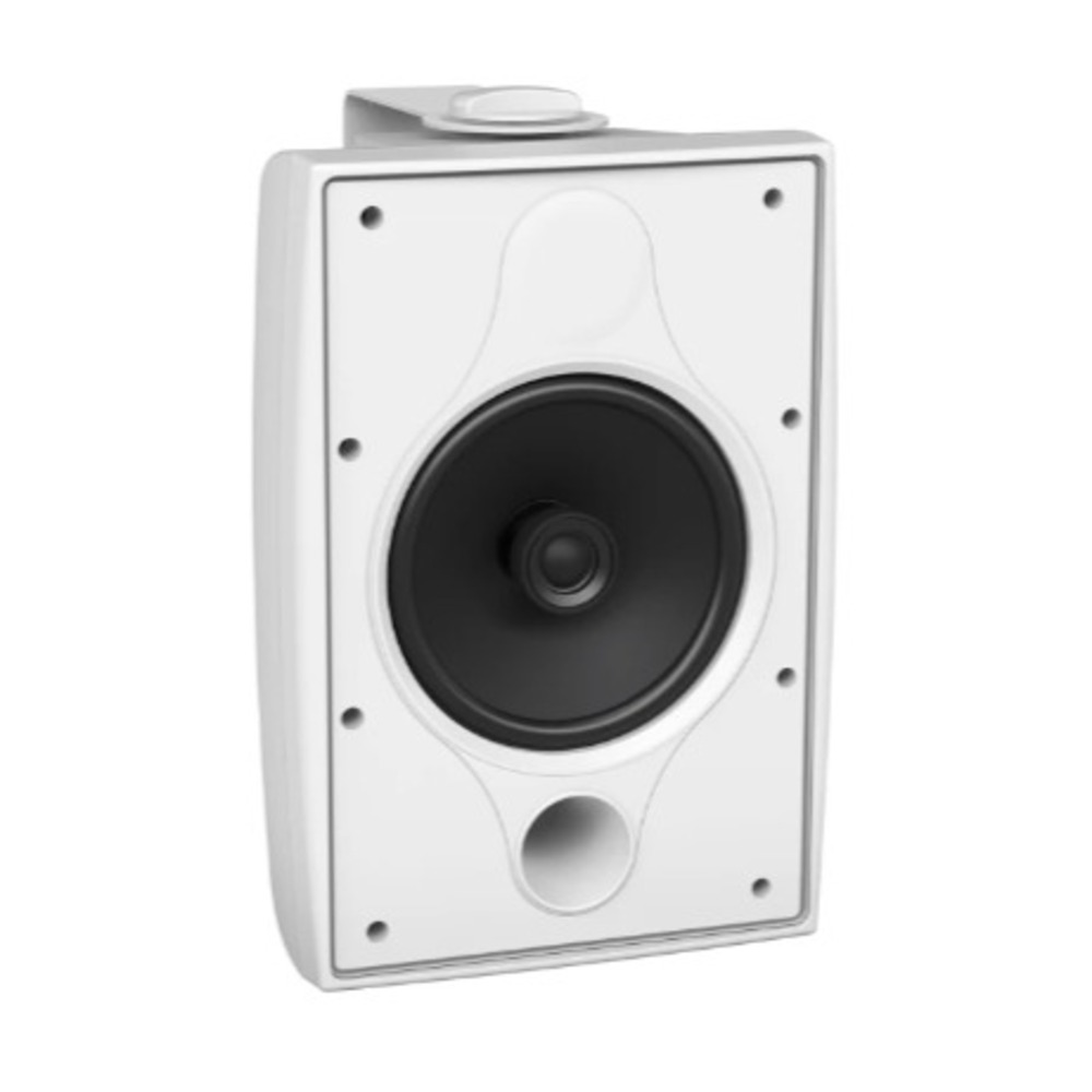 Всепогодная акустическая система Tannoy DVS 8 White