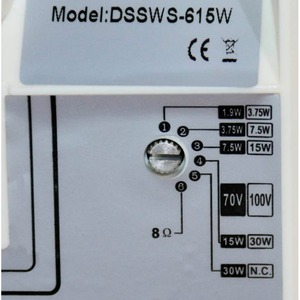 Колонка настенная DSS DSSWS-615W