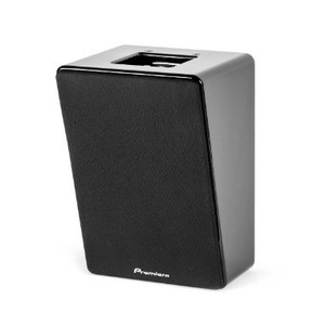 Колонка настенная Premiera DC108S BK