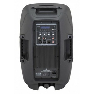 Колонка концертная Soundsation Go-Sound-12AM