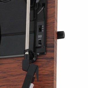 Проигрыватель виниловых дисков Ritmix LP-280 Buk