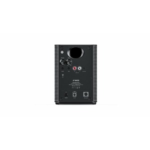 Колонка полочная FiiO SP3 Black