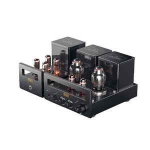 Усилитель для наушников Cayin HA-300 MK2 black