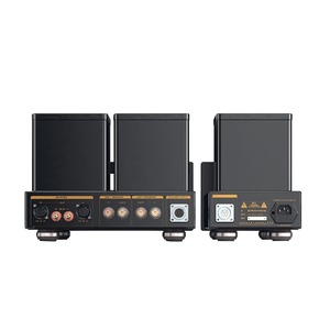 Усилитель для наушников Cayin HA-300 MK2 black