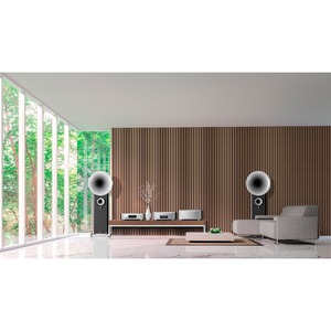 SACD проигрыватель Esoteric K-05XD Silver