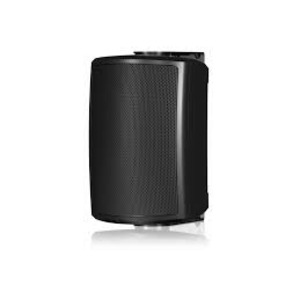 Колонка уличная Tannoy AMS 5ICT
