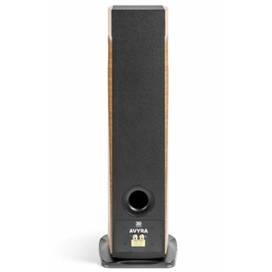 Колонка напольная MOREL Avyra 633 Walnut