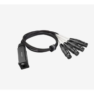 Стейдж-бокс Roxtone PS4M