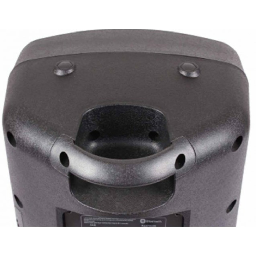 Колонка концертная BLG BP13-08A10