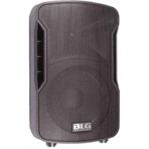 Колонка концертная BLG BP13-08A10