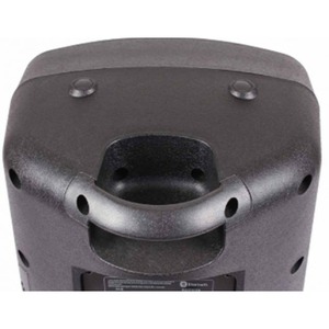 Колонка концертная BLG BP13-08A10