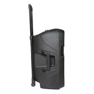 Колонка концертная ECO VOYAGE XII