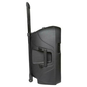 Колонка концертная ECO VOYAGE X