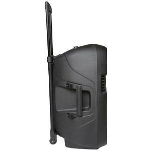 Колонка концертная ECO VOYAGE XV