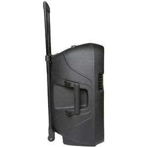 Колонка концертная ECO VOYAGE 8