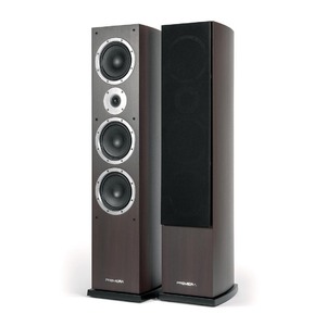 Колонка напольная Premiera DS-631 MC