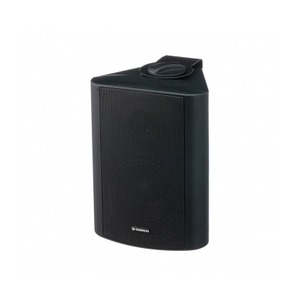 Колонка настенная DIGIRUSS WSP-420 B