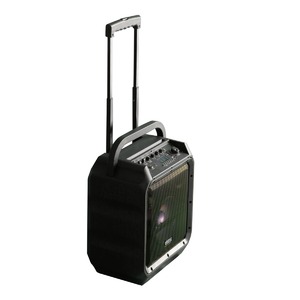 Портативная акустика NORDFOLK SOLO 8A