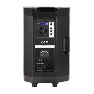 Колонка концертная Soundking FPE10AD