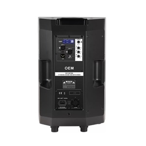 Колонка концертная Soundking FPE12AD