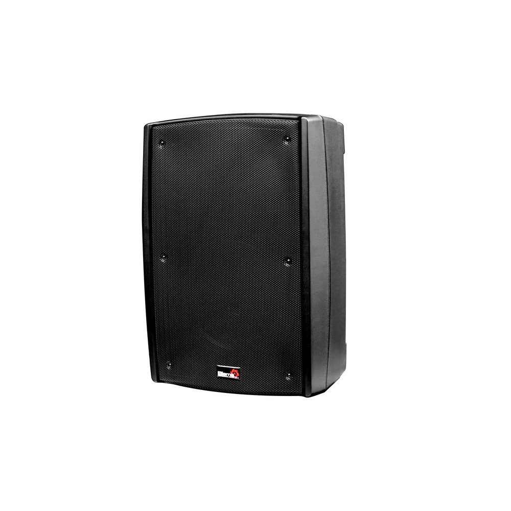 Колонка концертная Biema B2-112-power