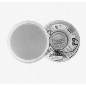 Колонка встраиваемая TADS DS-114