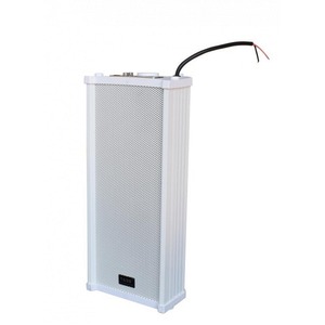 Колонка настенная TADS DS-20E-A