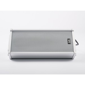 Колонка настенная TADS DS-20E