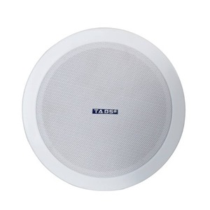 Колонка встраиваемая TADS DS-622C