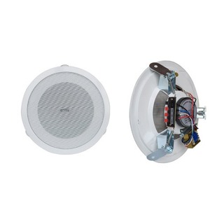 Колонка встраиваемая TADS DS-623