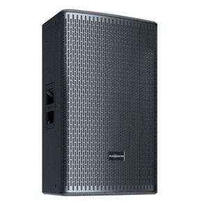 Колонка концертная Audiocenter GT515A
