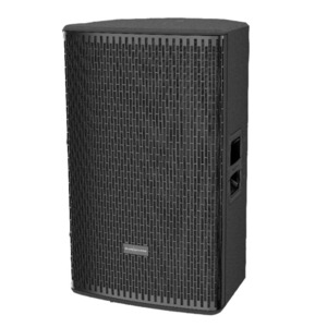 Колонка концертная Audiocenter GT515P