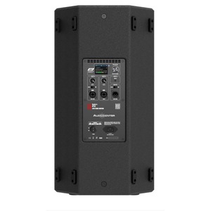 Колонка концертная Audiocenter SA310+ AUX