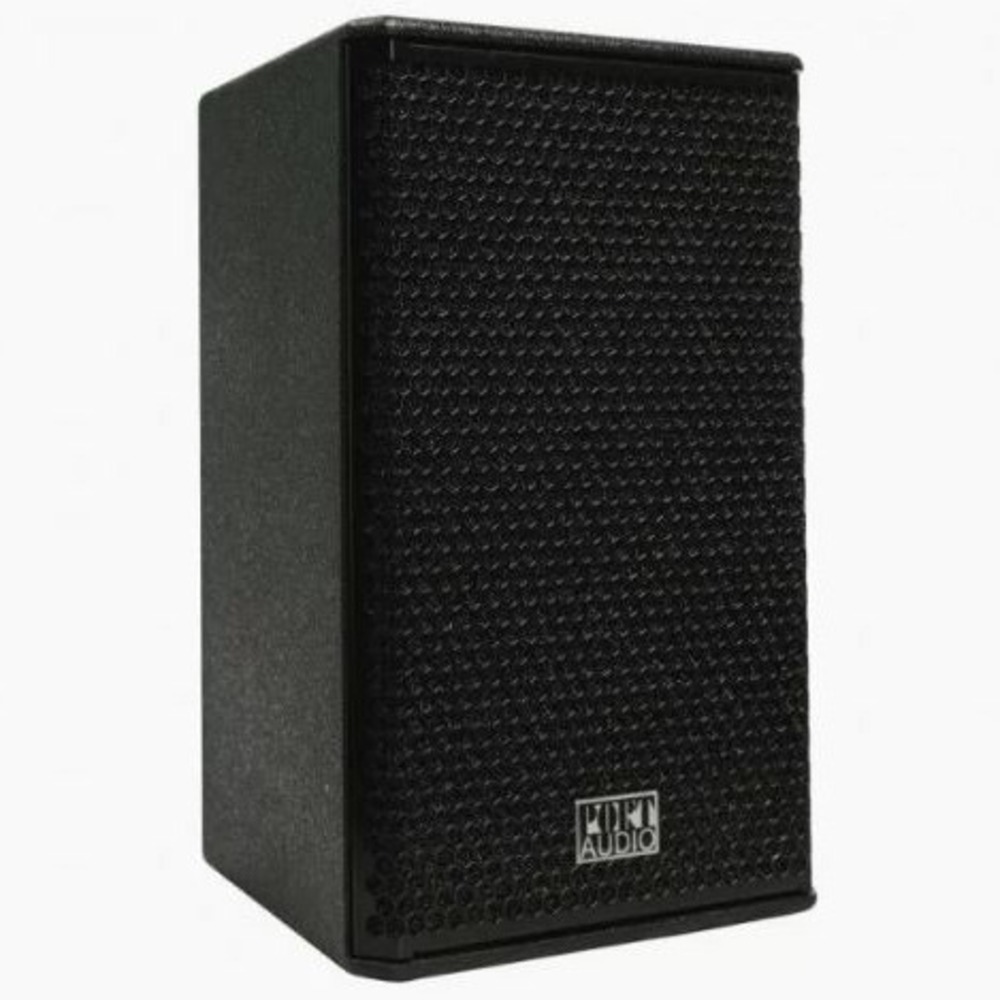 Колонка концертная Port Audio TDS110